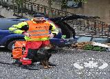 Rescue Patrol 2013
