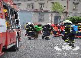 Rescue Patrol 2013