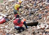Rescue Patrol 2013