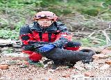 Rescue Patrol 2013