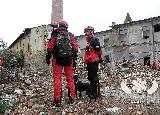 Rescue Patrol 2013