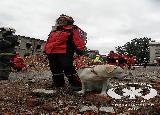 Rescue Patrol 2013
