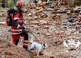 Rescue Patrol 2013