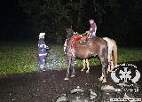 Rescue Patrol 2013